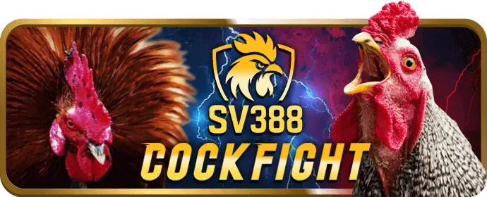 Hoàn trả cao cho VIP i8bet